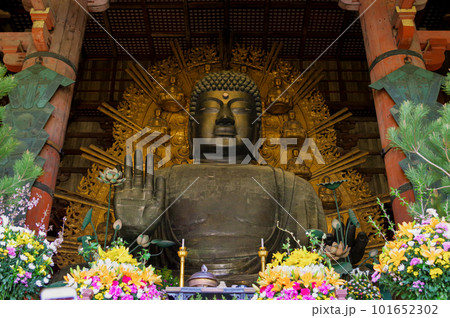 奈良の大仏 101652302