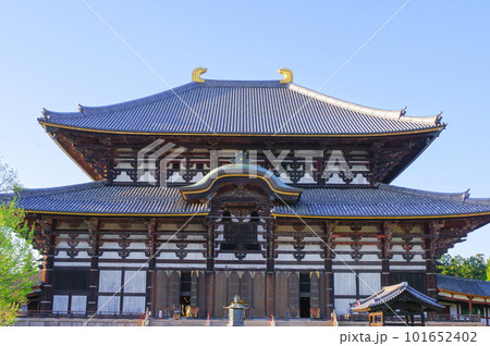 東大寺大仏殿 東大寺大仏殿 101652402