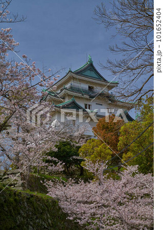 和歌山城 101652404