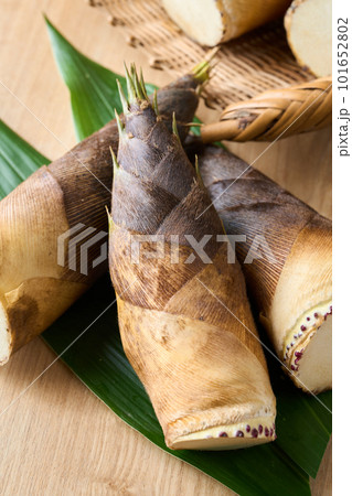 堀たての筍 101652802