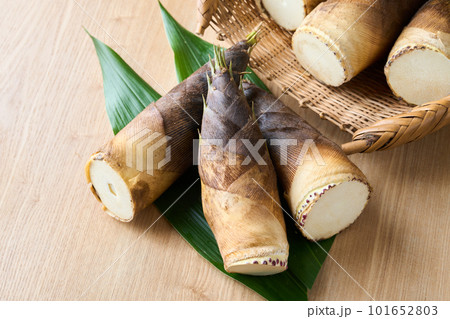 堀たての筍 101652803