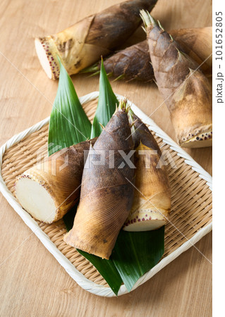 ざるに盛った筍 ざるに盛った筍 101652805