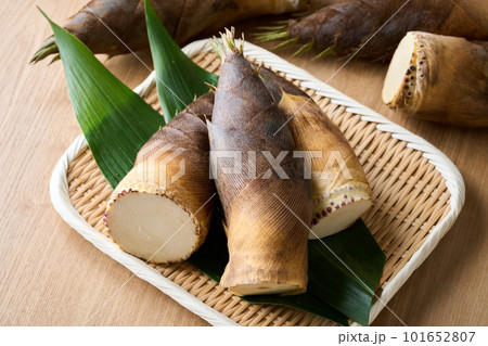 ざるに盛った筍 101652807