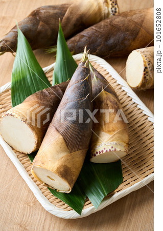 ざるに盛った筍 101652808
