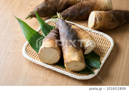 ざるに盛った筍 ざるに盛った筍 101652809