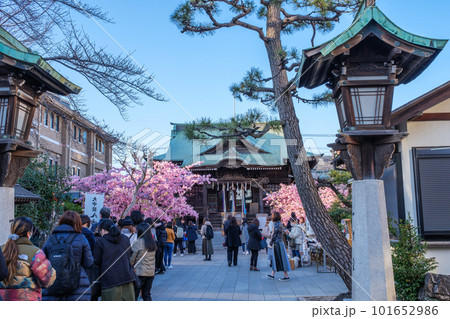 参拝者で賑わう桜神宮　東京都世田谷区 101652986