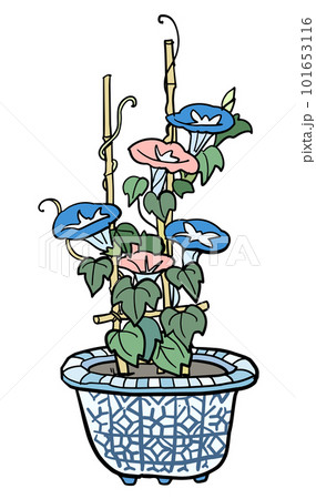 朝顔の花瓶 101653116