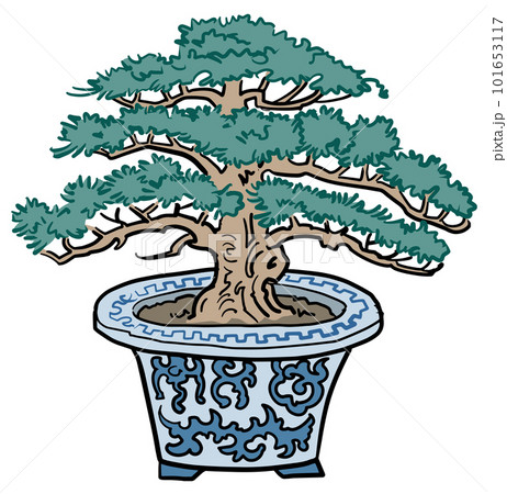松の盆栽 101653117