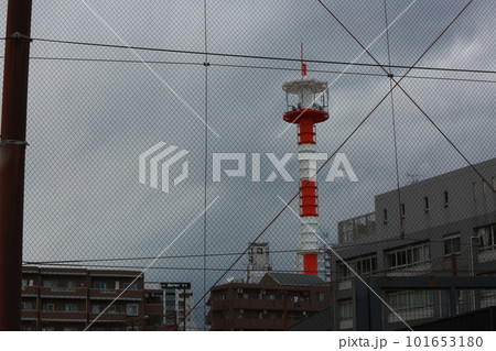 富士見公園を歩いた 101653180