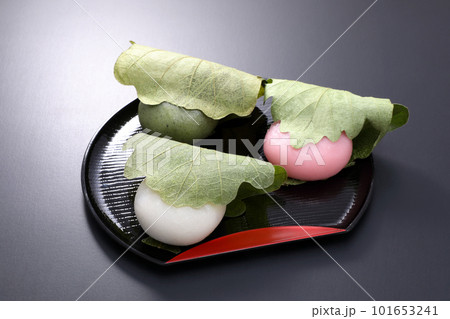 美味しそうな柏餅 101653241