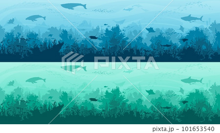 Underwater landscape silhouette backgrounds, fishes, manta ray and whales, cartoon vector. Sea or ocean deep water and coral reef undersea landscape with silhouette of sharks and seaweeds in deep Underwater landscape silhouette backgrounds, fishes, manta ray and whales, cartoon vector. Sea or ocean deep water and coral reef undersea landscape with silhouette of sharks and seaweeds in deep 101653540