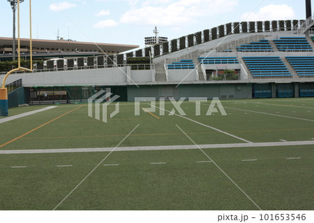 富士見公園を歩いた 101653546