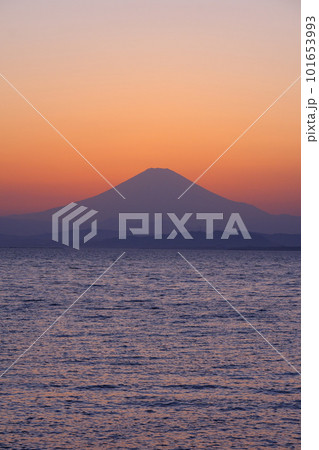 夕暮れの湘南の海と富士山 夕暮れの湘南の海と富士山 101653993