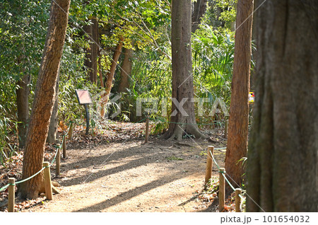 川口散歩:新郷貝塚 埼玉県指定史跡 川口市 川口散歩:新郷貝塚 埼玉県指定史跡 川口市 101654032