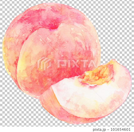 水彩画 原画 ウィスキーと桃 水彩画 原画 ウィスキーと桃 | 水彩画