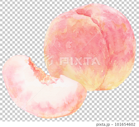 水彩畫的桃子插圖 桃子水果和桃子切成楔形 101654602