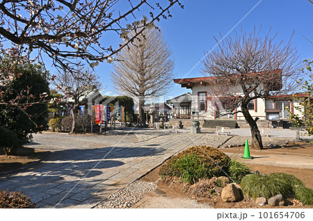 川口散歩:曹洞宗 傑伝寺 境内 川口市東本郷 川口散歩:曹洞宗 傑伝寺 境内 川口市東本郷 101654706