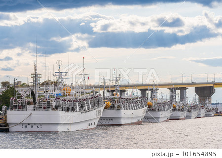 「青森県」八戸港に停泊するイカ釣り漁船 101654895