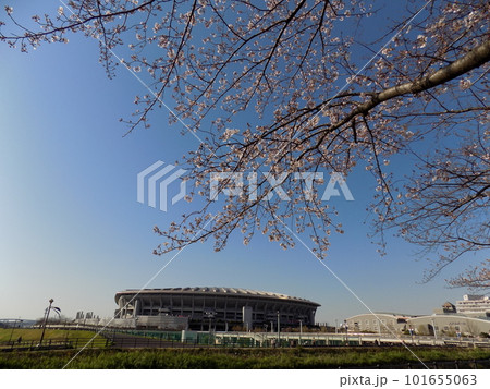 新横散歩 101655063