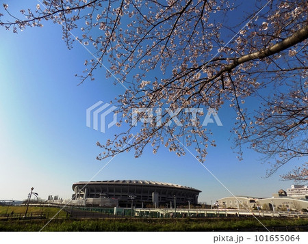 新横散歩 101655064