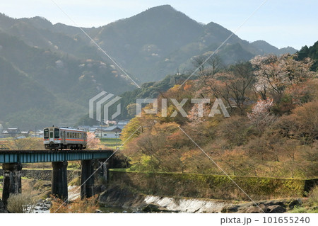 春の出雲川を渡る名松線 101655240