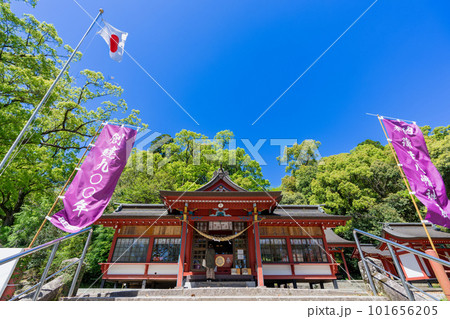 《鹿児島県》新緑の蒲生の大クス・蒲生八幡神社 101656205