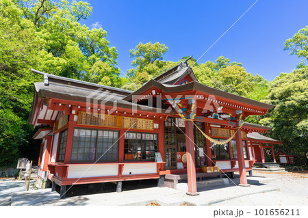 《鹿児島県》新緑の蒲生の大クス・蒲生八幡神社 《鹿児島県》新緑の蒲生の大クス・蒲生八幡神社 101656211