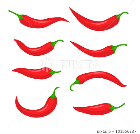 Red chili spicy pepper. Hot chili spice pepper vector icon illustration paprika cooking background 101656337