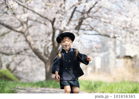 桜の咲く道を走る幼稚園の制服を着た幼児 101656365