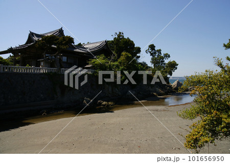 葉山 森戸大明神 本殿と飛柏槙(びびゃくしん) 101656950