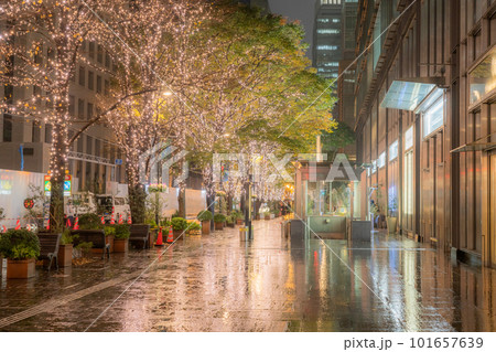 《東京都》丸の内・冬のイルミネーション《雨天》 101657639