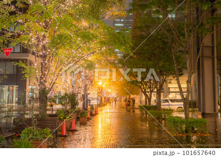 《東京都》丸の内・冬のイルミネーション《雨天》 《東京都》丸の内・冬のイルミネーション《雨天》 101657640