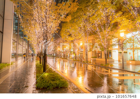 《東京都》丸の内・冬のイルミネーション《雨天》 《東京都》丸の内・冬のイルミネーション《雨天》 101657648