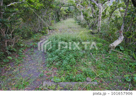 Remote and isolated hidden island Aogashima island in Tokyo, Japan Remote and isolated hidden island Aogashima island in Tokyo, Japan 101657906