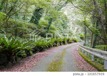 Remote and isolated hidden island Aogashima island in Tokyo, Japan 101657939