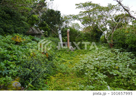 Remote and isolated hidden island Aogashima island in Tokyo, Japan Remote and isolated hidden island Aogashima island in Tokyo, Japan 101657995