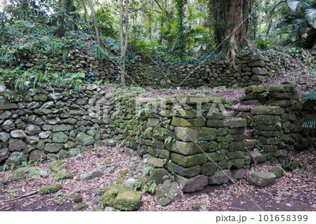 Remote and isolated hidden island Aogashima island in Tokyo, Japan 101658399