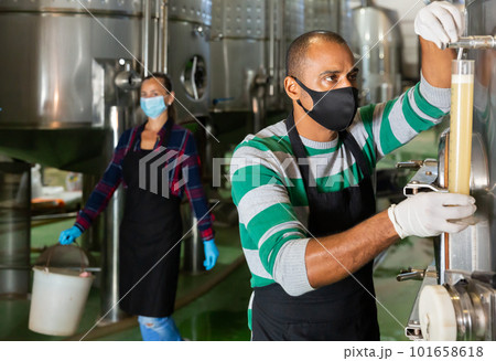 Winemaker in mask checking wine at factory Winemaker in mask checking wine at factory 101658618