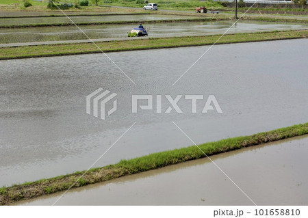 田植えシーズン / rice-planting Japan 101658810