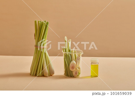 A bunch of lemongrass standing next to a glass jar of lemongrass. An empty label bottle containing essential oil extracted from lemongrass. Product mockup. Good for people health A bunch of lemongrass standing next to a glass jar of lemongrass. An empty label bottle containing essential oil extracted from lemongrass. Product mockup. Good for people health 101659039