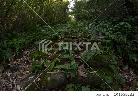 Remote and isolated hidden island Aogashima island in Tokyo, Japan 101659232