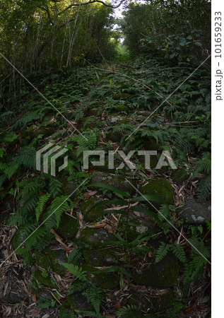 Remote and isolated hidden island Aogashima island in Tokyo, Japan 101659233