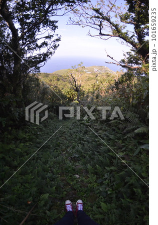 Remote and isolated hidden island Aogashima island in Tokyo, Japan 101659235