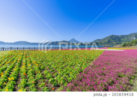 《鹿児島県》池田湖と開聞岳 《鹿児島県》池田湖と開聞岳 101659418