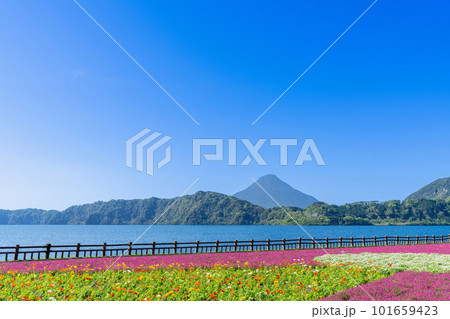 《鹿児島県》池田湖と開聞岳 《鹿児島県》池田湖と開聞岳 101659423