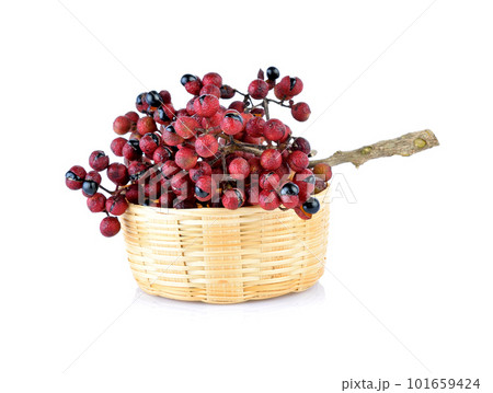 Szechuan pepper (Zanthoxylum piperitum), fruits isolated against white background 101659424