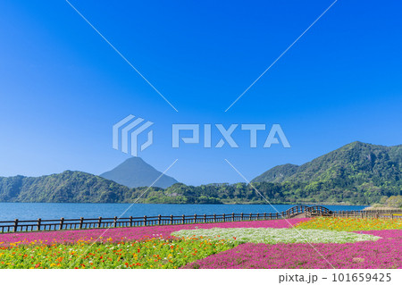 《鹿児島県》池田湖と開聞岳 101659425