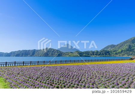 《鹿児島県》池田湖と開聞岳 101659429