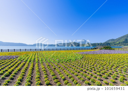 《鹿児島県》池田湖と開聞岳 101659431