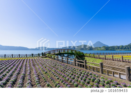 《鹿児島県》池田湖と開聞岳 101659433